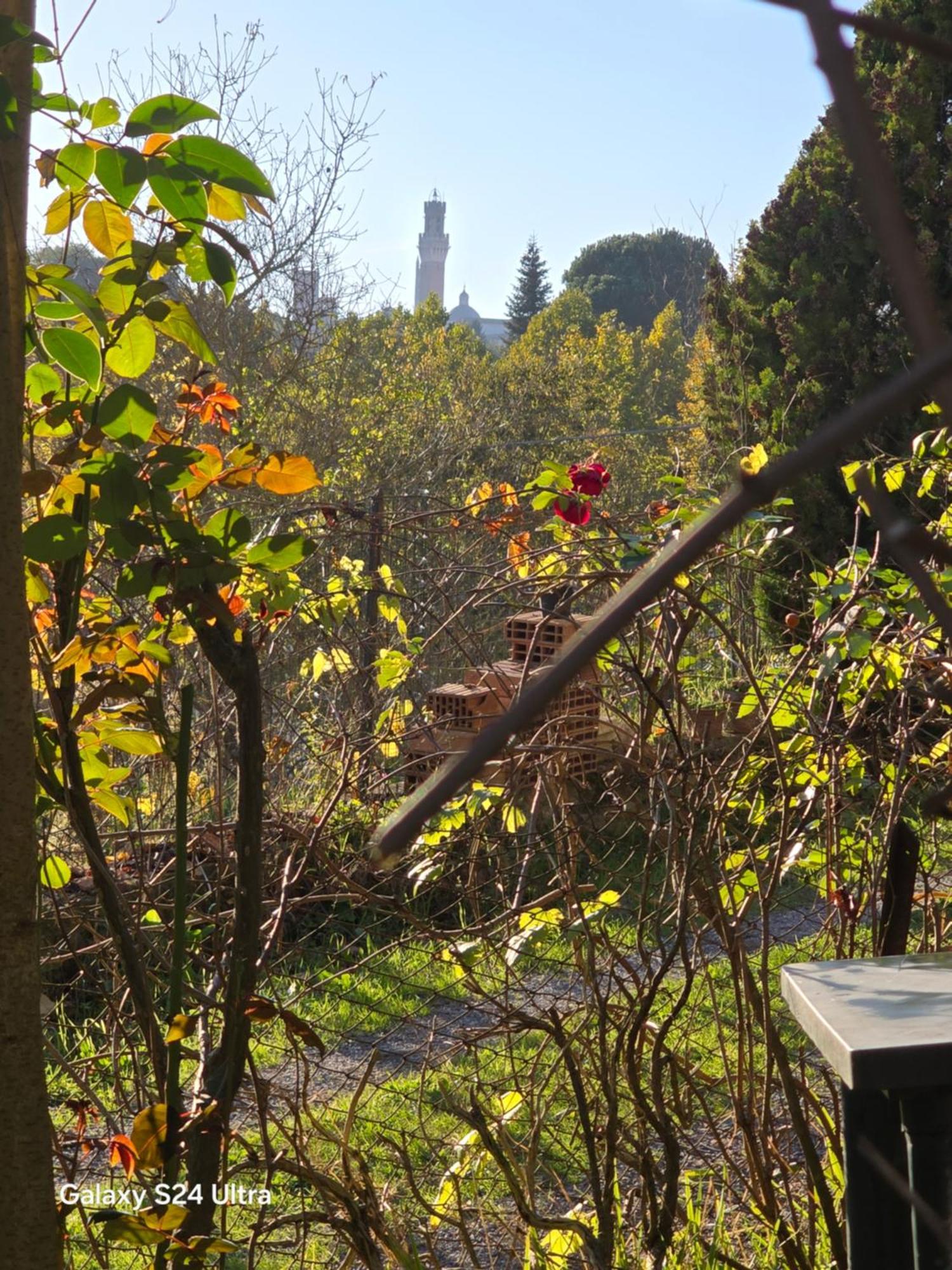 Podere Ponticini Siena Zewnętrze zdjęcie